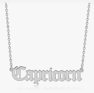 Capricorn Silver Zodiac Necklace // Jovee