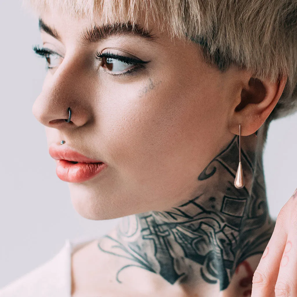 Elongated Teardrop Dangle Stainless Steel Hook Earrings