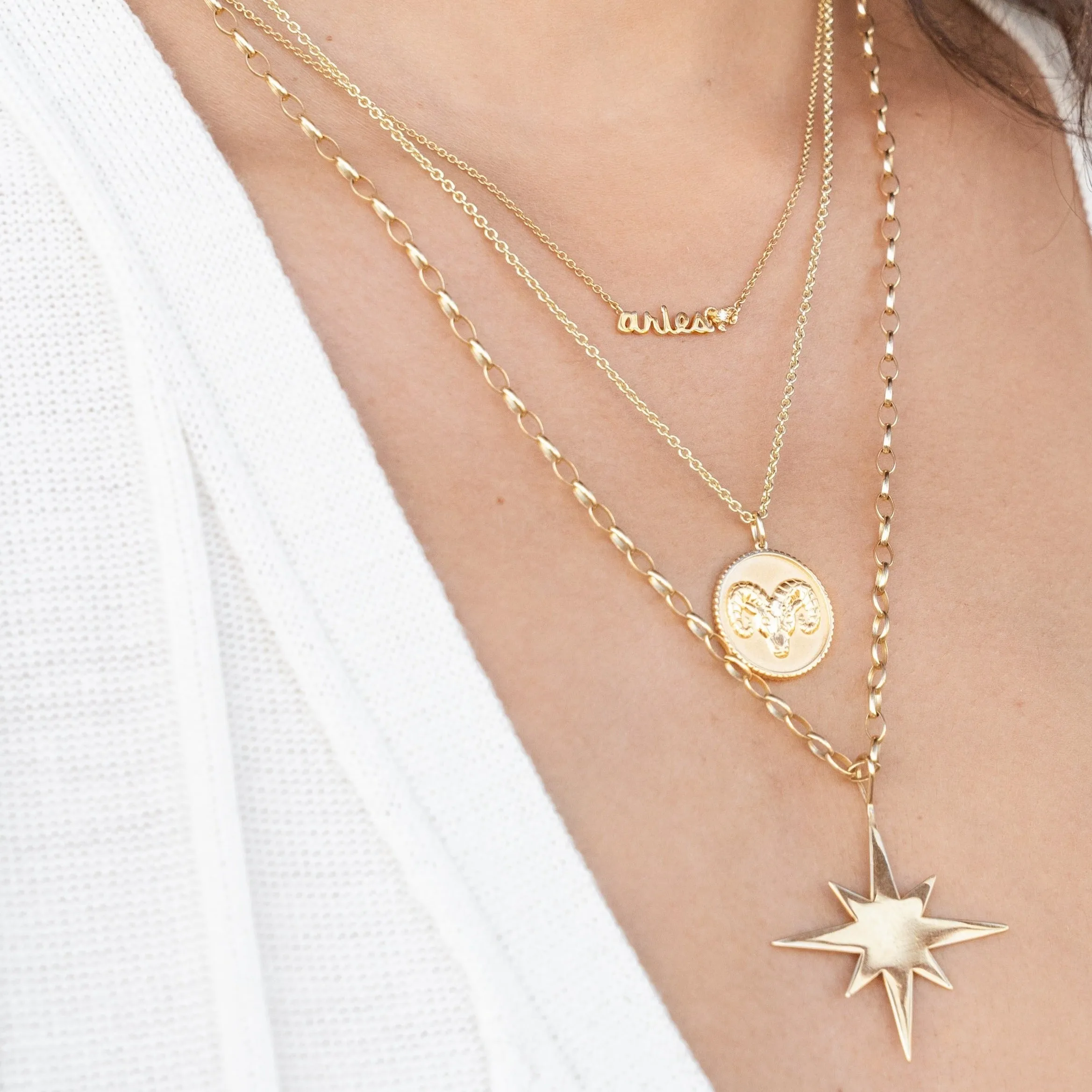 Gold & Diamond Large Capricorn Zodiac Medallion
