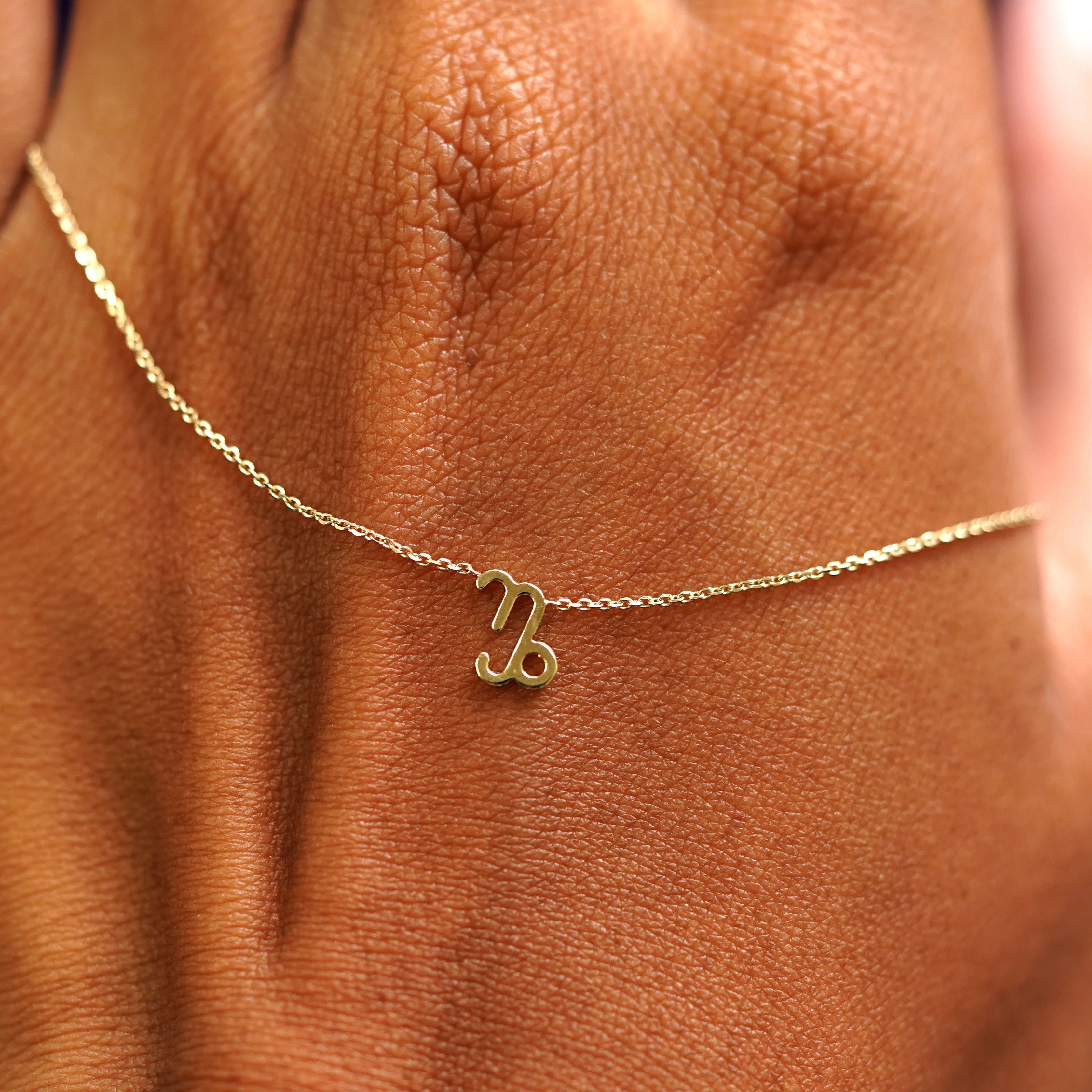 Horoscope Necklace