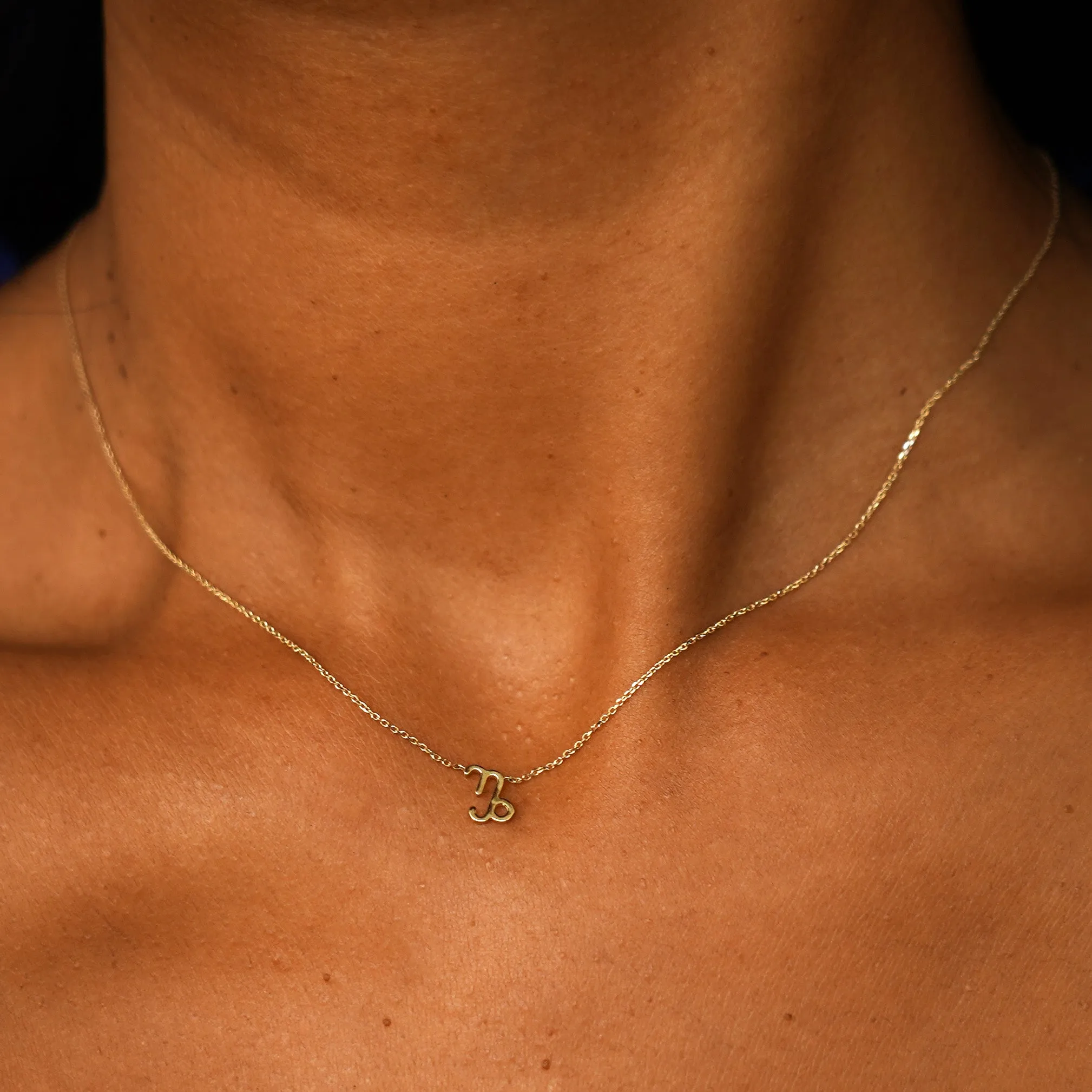 Horoscope Necklace