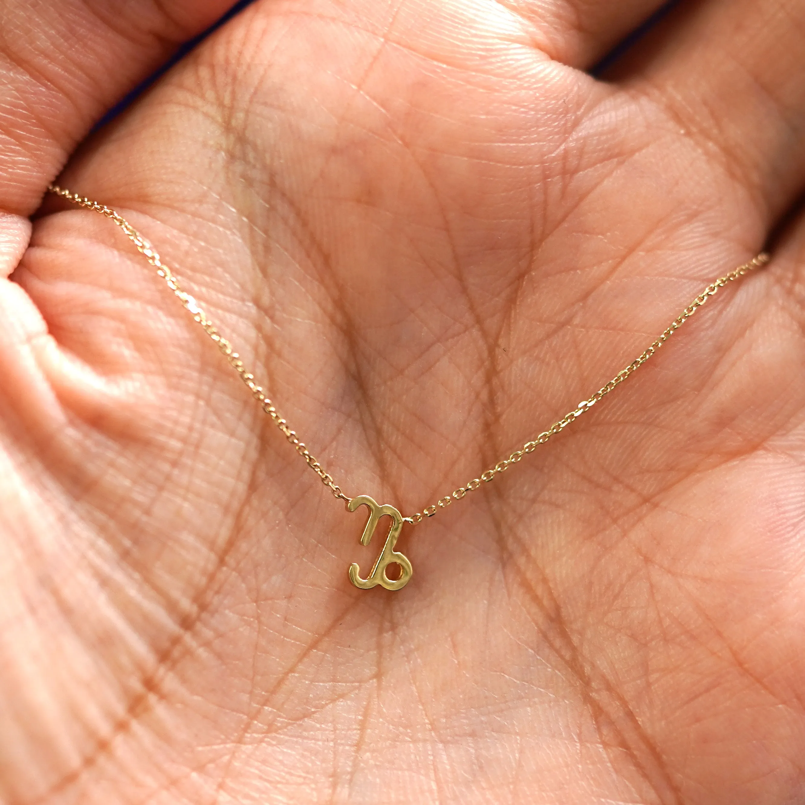 Horoscope Necklace