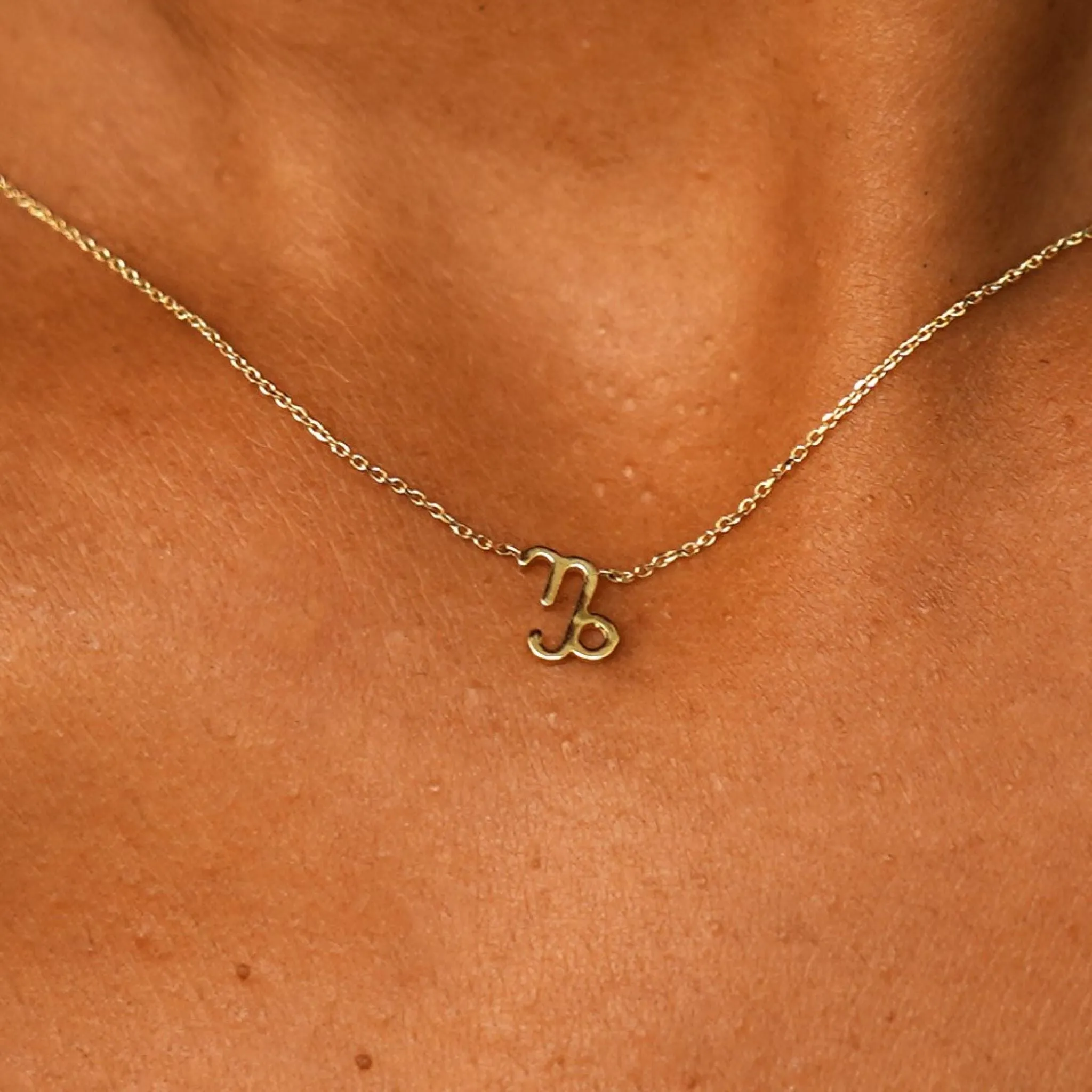 Horoscope Necklace