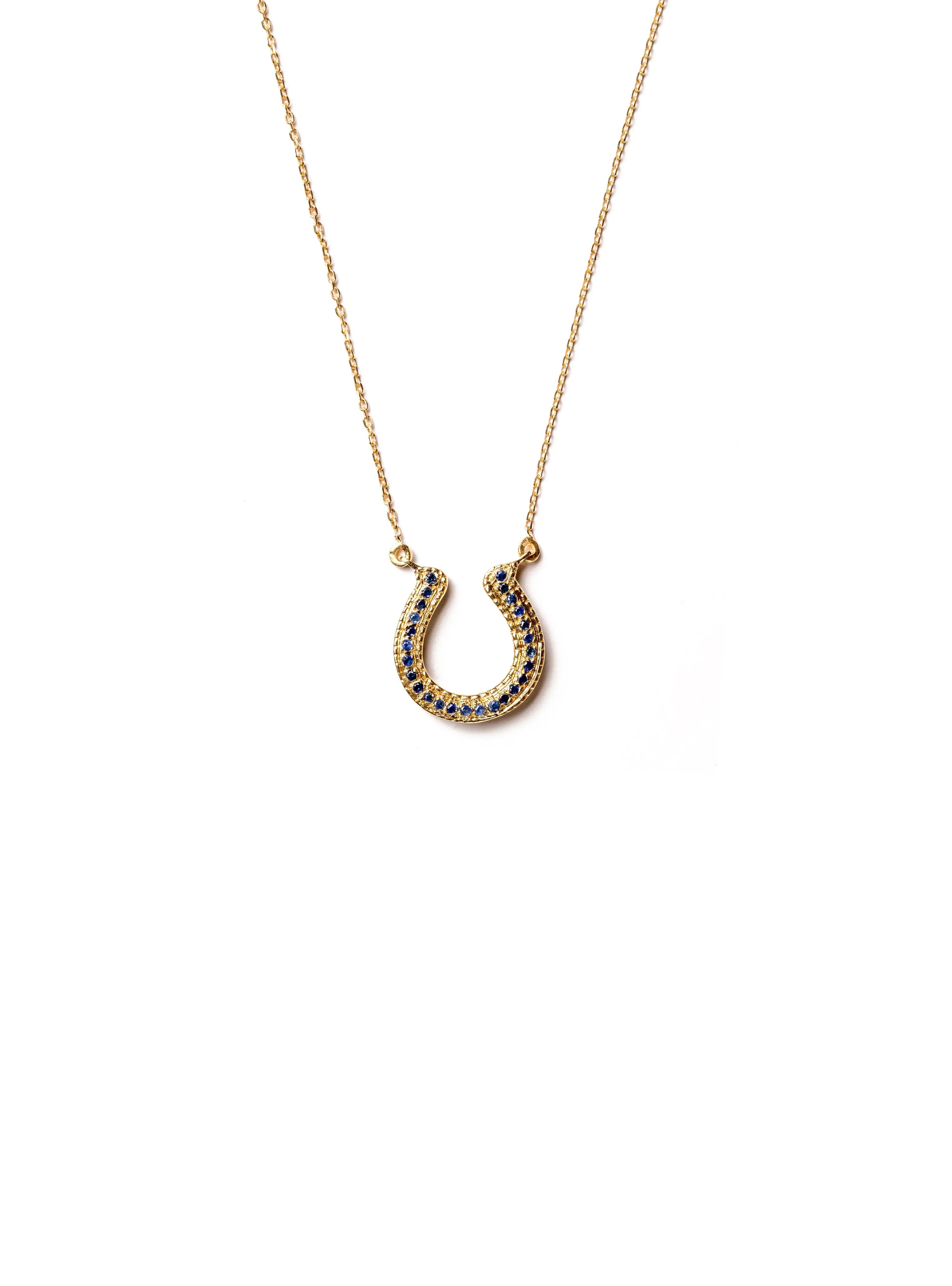 Horseshoe Necklace with Blue Sapphires