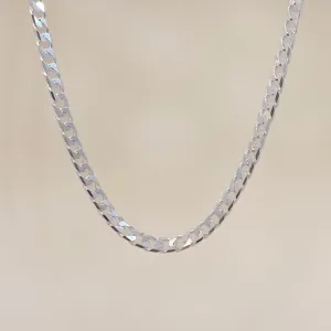 Silver Bold Gourmet Necklace