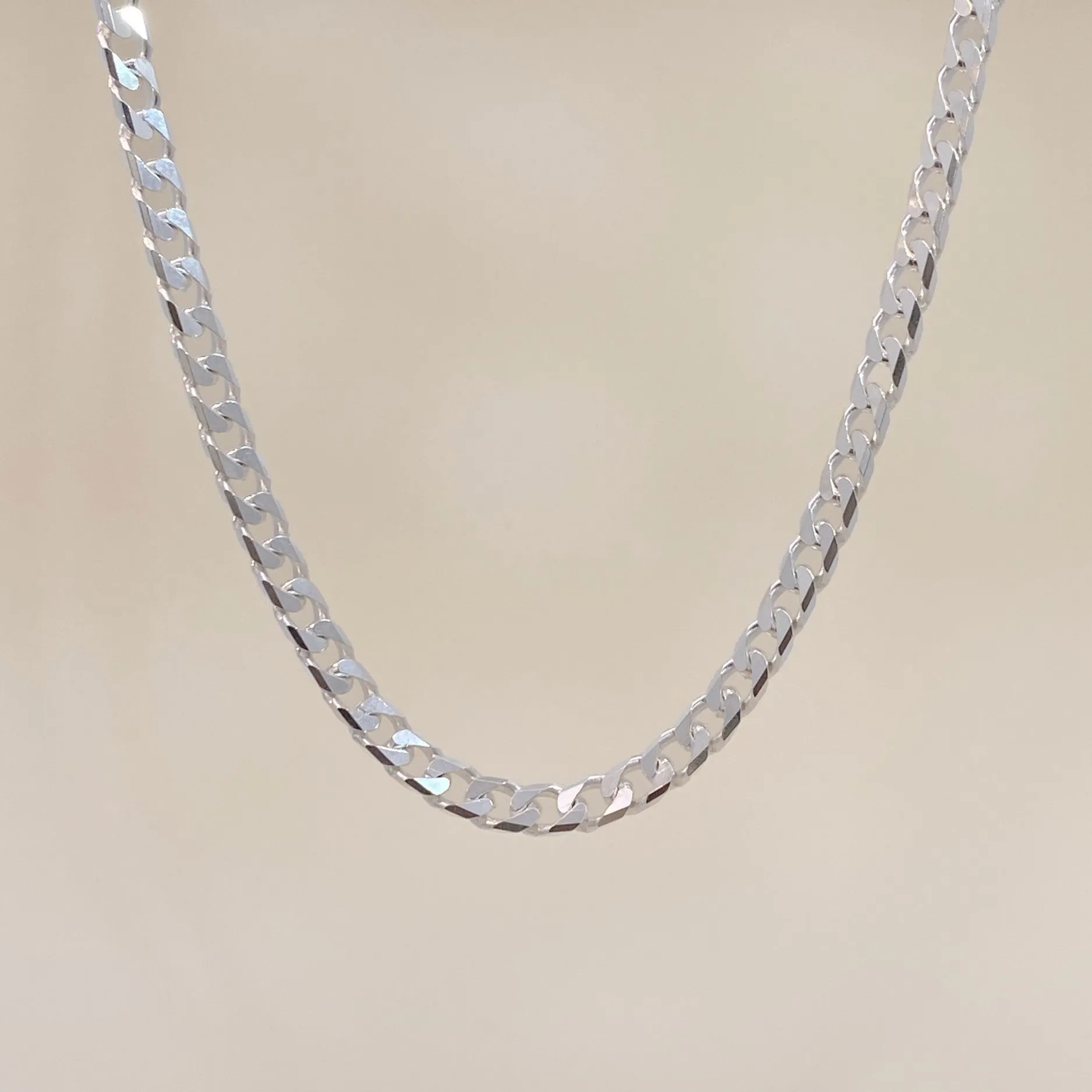 Silver Bold Gourmet Necklace