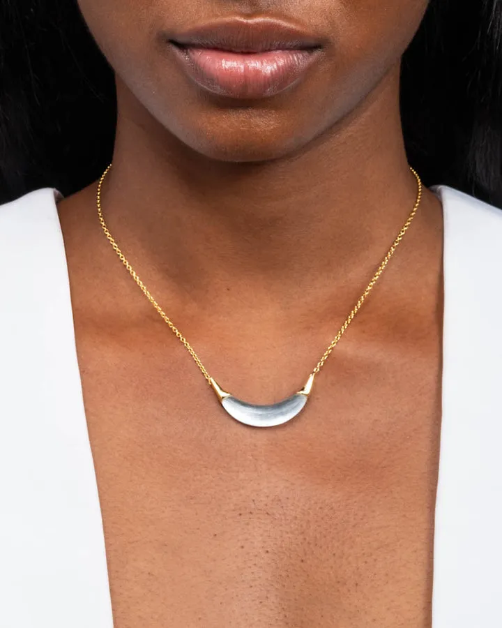 Silver Gold Crescent Lucite Necklace