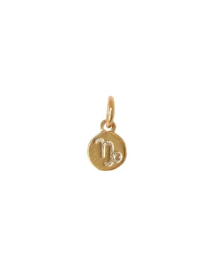 Small Capricorn Zodiac Pendant