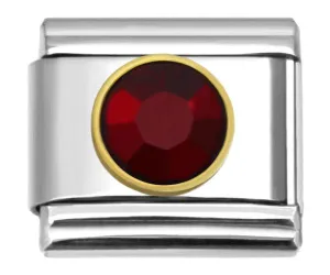 Stainless Steel 9mm Shiny January Birthstone Link for Italian Charm Bracelet