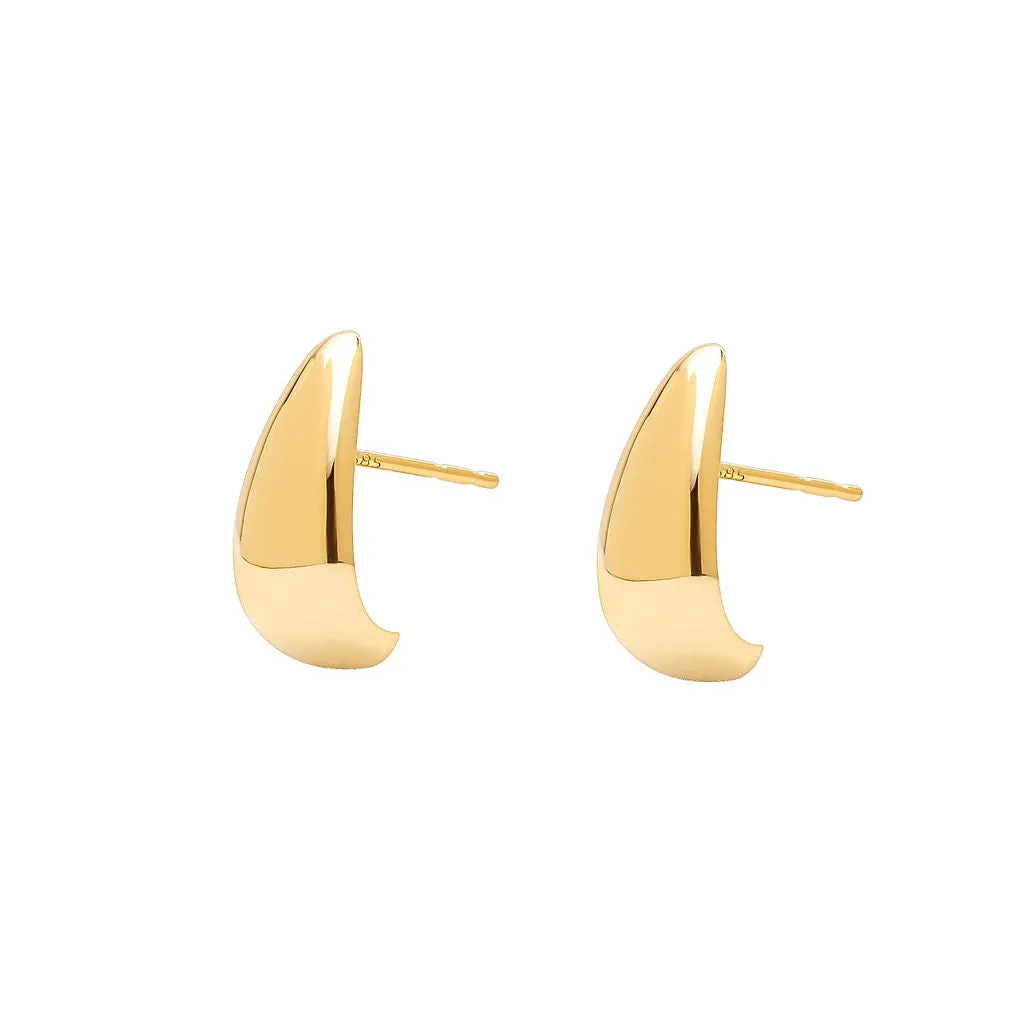 Teardrop Earrings