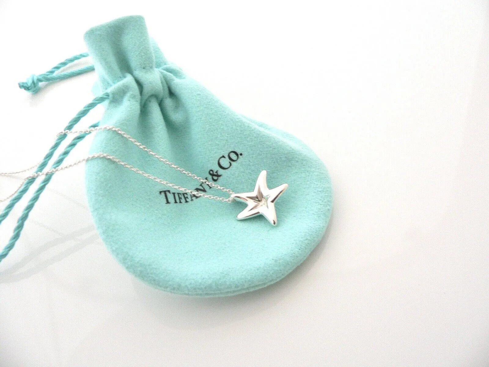 Tiffany & Co Diamond Starfish Necklace Pendant Gift Pouch Love Peretti Silver