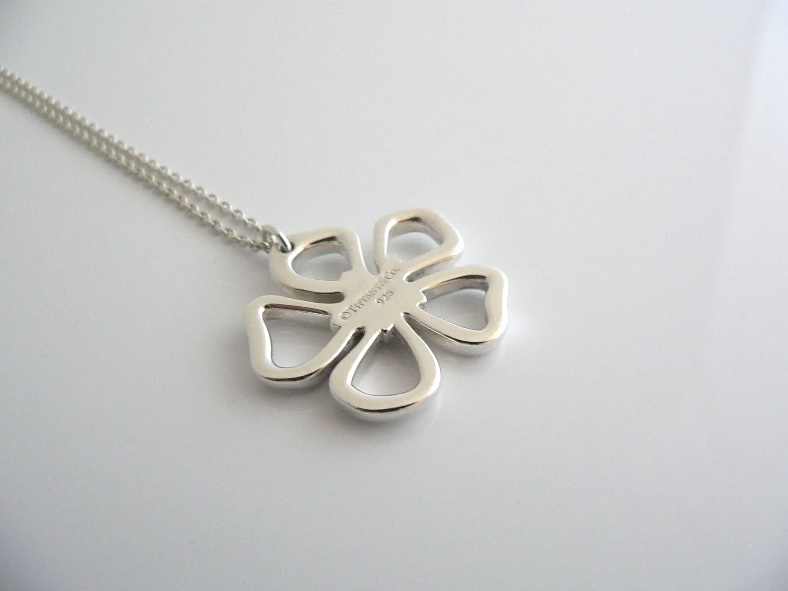 Tiffany & Co Silver Open Flower Nature Necklace Pendant Chain Charm Gift